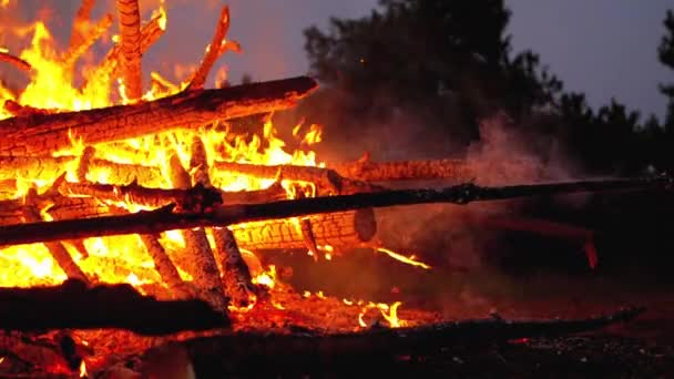 La gran hoguera de los troncos arde por la noche en el bosque. Moción lenta en 180 fps — Vídeos de Stock