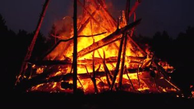 Dalların Büyük Kamp Ateşi Ormanda Gece Yanıyor. Yavaş Çekim