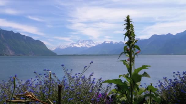 ジュネーブ湖とスイスアルプスのモントルー堤防の風景 — ストック動画