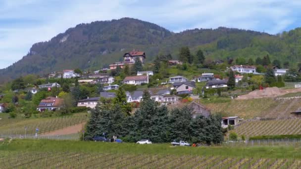 Blick auf Schweizer Häuser mit Weinbergen auf einem Hügel in der Nähe der Stadt Montreux. Schweiz — Stockvideo