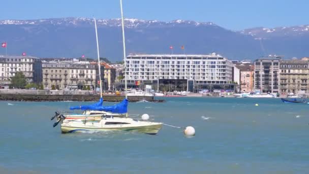 Parked Pleasure jachty, łodzie i statki w porcie nad Jeziorem Genewskim, Szwajcaria — Wideo stockowe