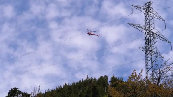 Helicóptero en las montañas lleva árboles secos en el bosque — Vídeos de Stock