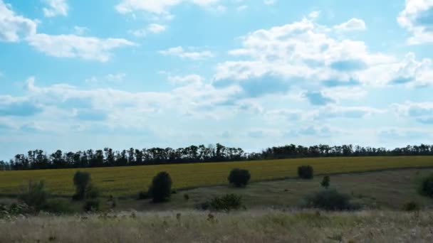Wolken in blauem Himmel über landschaftlichen Feldern. Zeitraffer. Erstaunliches ländliches Tal. Ukraine — Stockvideo