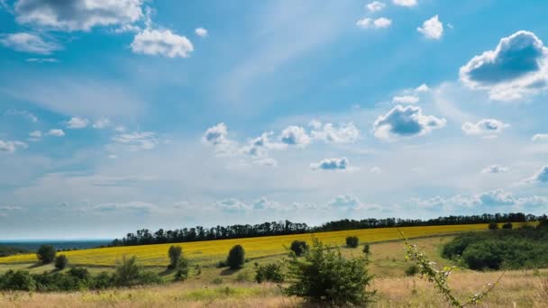 Ландшафтні поля і рухомі хмари в блакитному небі. Timelapse. Дивовижна сільська Долина. Україна — стокове відео