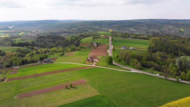 Vista aérea do drone de campos verdes, montes e árvores em uma vila com casas pequenas. Polónia . — Vídeo de Stock