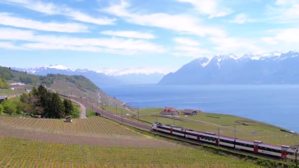 Comboio suíço se move ao longo de uma estrada de ferro panorâmica em uma encosta perto do Lago de Genebra contra os Alpes. Suíça — Vídeo de Stock