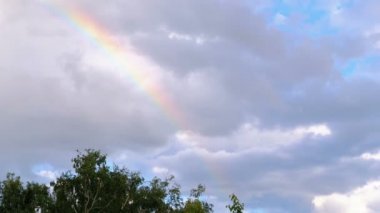 Ağaçların ÜstündeKi Bulutlarla Gökyüzünde Gökkuşağı.