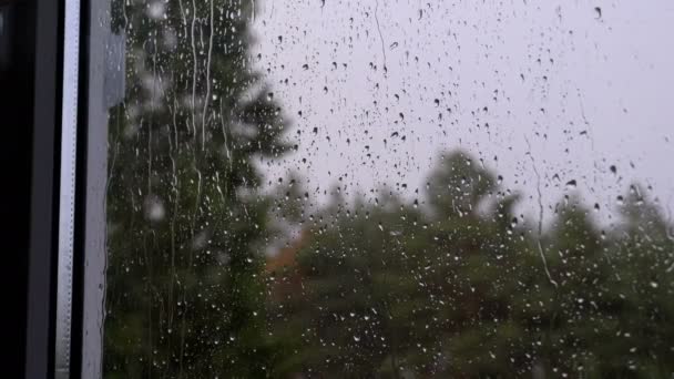 Drops of Rain Flow Down the Window Glass. Bad weather, thunderstorm, storm clouds. — Stock Video