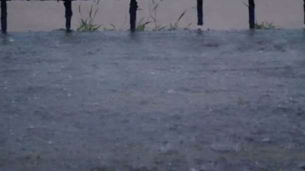 Grêle, grêlons tombe sur le plancher de béton en plein air pendant la tempête de pluie avec la foudre — Video