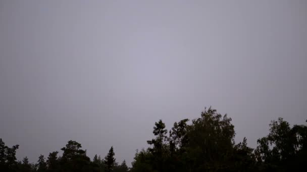 Lightning in the Sky During a Thunderstorm. Slow Motion — Stock Video