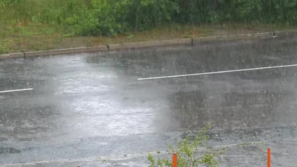 Heavy Rain Falling on the Asphalt Road. Old Car Rides by Road Through Raindrops — Stock Video