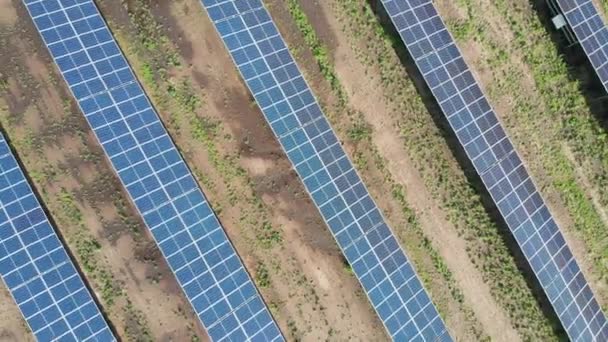 Вид сверху с воздуха на Солнечную электростанцию в зеленом поле в солнечный день. Солнечная ферма — стоковое видео