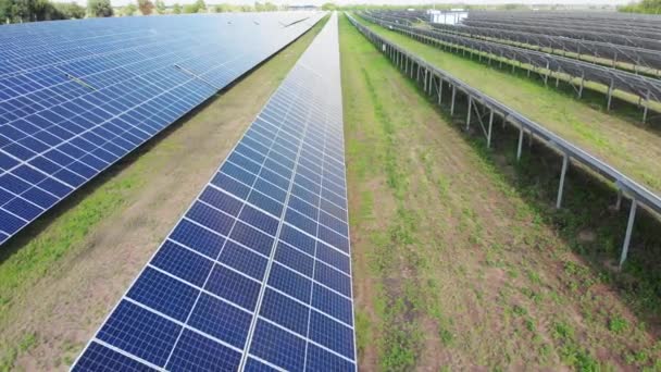 Luchtfoto van de zonnecentrale. Panelen staan in een rij op Green Field. Zomer — Stockvideo