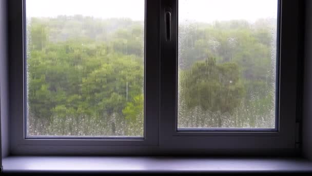 Der Regen vor dem Fenster — Stockvideo