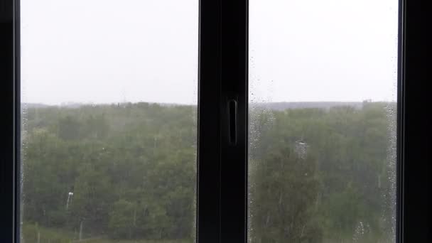 De regen buiten het raam — Stockvideo