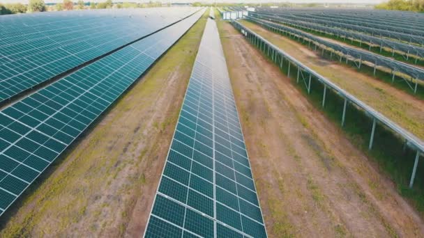 Luchtfoto van de zonnecentrale. Panelen staan in een rij op Green Field. Zomer — Stockvideo