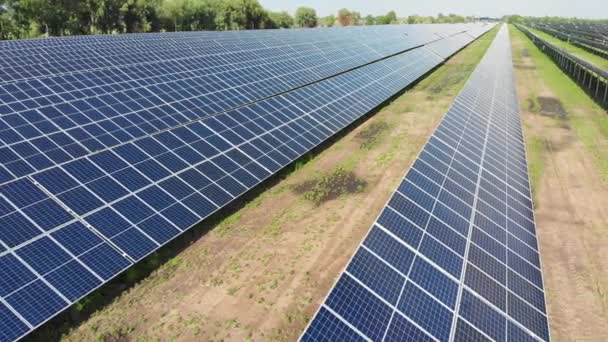 Vista aérea de la Central Solar. Paneles de pie en una fila en el campo verde. Verano — Vídeo de stock