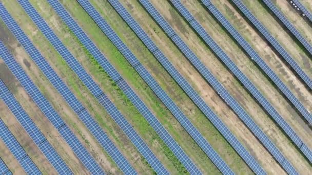 Вид сверху с воздуха на Солнечную электростанцию в зеленом поле в солнечный день. Солнечная ферма — стоковое видео
