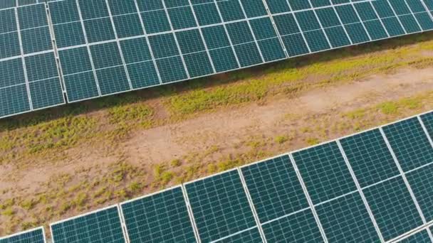 Veduta aerea della centrale solare. Pannelli in piedi in una fila sul campo verde. Estate — Video Stock