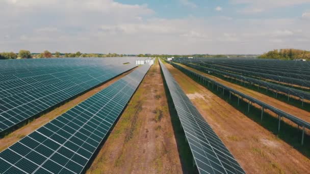 Zonneboerderij. Luchtfoto zonne-energiecentrale. Panelen staan in rij op groen veld — Stockvideo