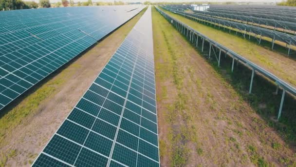 Zonneboerderij. Luchtfoto zonne-energiecentrale. Panelen staan in rij op groen veld — Stockvideo