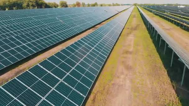 Solfarmen. Flygfoto solkraftverk. Paneler står i rad på grönt fält — Stockvideo