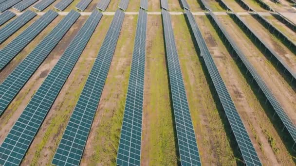 Luftaufnahme des Solarkraftwerks auf der grünen Wiese am sonnigen Tag — Stockvideo