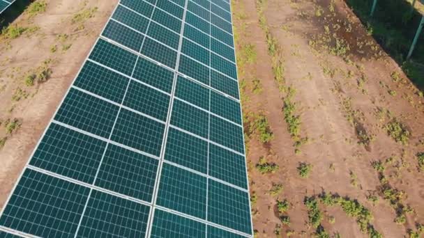 Zonneboerderij. Luchtfoto zonne-energiecentrale. Panelen staan in rij op groen veld — Stockvideo