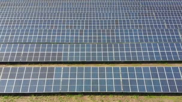 Veduta aerea della centrale solare. Pannelli in piedi in una fila sul campo verde. Estate — Video Stock