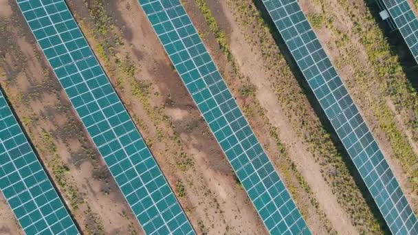 Aerial Top view on Solar Power Station in Green Field on Sunny day. Solar Farm — Stock Video