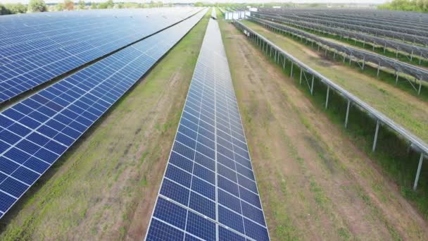 Luftaufnahme des Solarkraftwerks. Paneele stehen in einer Reihe auf der grünen Wiese. Sommer — Stockvideo