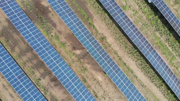 Vista aérea superior na central de energia solar em Green Field no dia ensolarado. Fazenda Solar — Vídeo de Stock