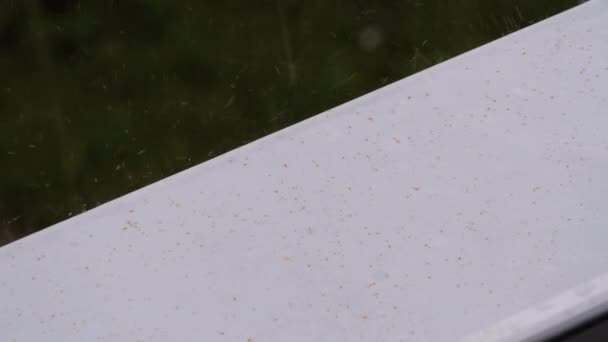 Gotas de queda de chuva em um peitoril branco — Vídeo de Stock