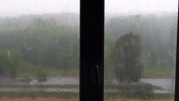 La lluvia fuera de la ventana — Vídeos de Stock