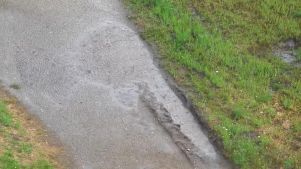 Gocce di pioggia pesante colpiscono la pozzanghera fangosa — Video Stock