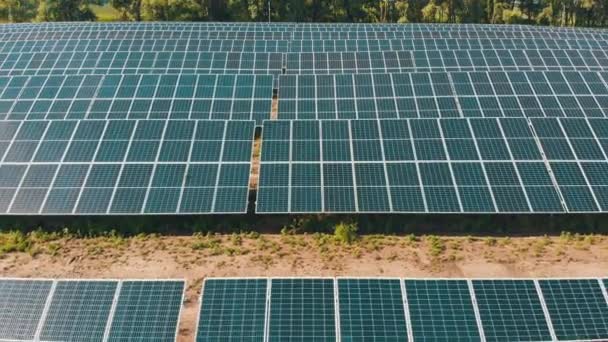 Widok z powietrza na elektrownię słoneczną. Panele stoją w rzędzie na Green Field. Lato — Wideo stockowe