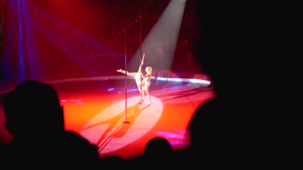 Silhouettes de spectateurs dans un cirque Regarder un spectacle dans l'aréna du cirque — Video