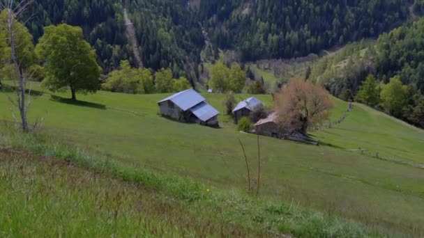 Vue panoramique des sommets enneigés des Alpes suisses — Video