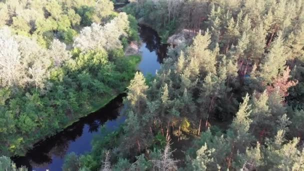 Letecký pohled na říční koryto mezi borovým lesem. Řeka u vrcholků zelených stromů — Stock video