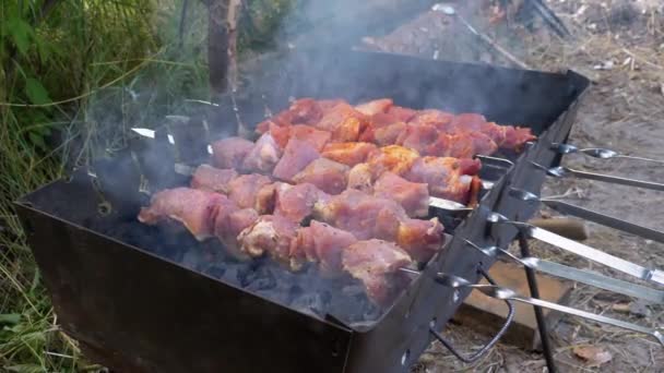 Шиш Кебабы на Шашлыках готовятся на гриле. Сырое мясо, приготовленное на угольном гриле — стоковое видео