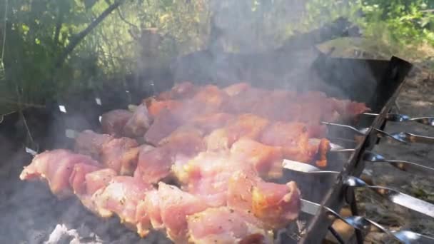Шиш Кебабы на Шашлыках готовятся на гриле. Сырое мясо, приготовленное на угольном гриле — стоковое видео