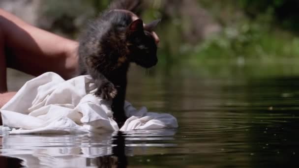 Man Holds Kitten in His Arms above the Water in River, She Resists. Moción lenta — Vídeo de stock