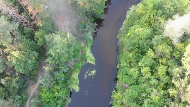 Letecký pohled na říční koryto mezi borovým lesem. Řeka u vrcholků zelených stromů — Stock video