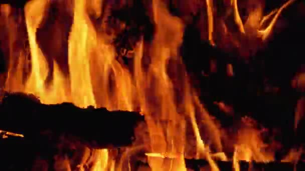 Lagerfeuer brennt in der Nacht. — Stockvideo