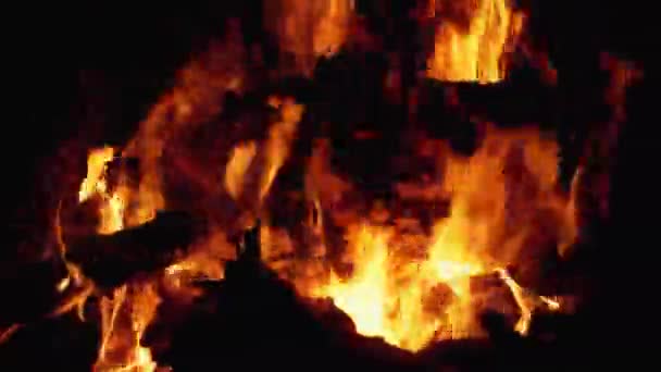Oheň. Táborák z větví hoří v noci. — Stock video