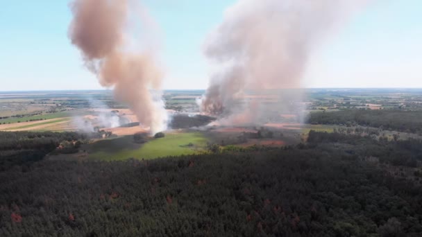 Buğday tarlasında havadan ateş manzarası. Tarım Tarlalarının Üzerinde Duman Uçuyor — Stok video