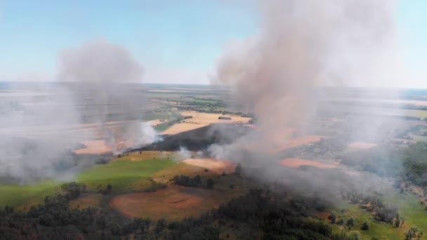 Vue aérienne du feu dans le champ de blé. Survol de la fumée au-dessus des champs agricoles