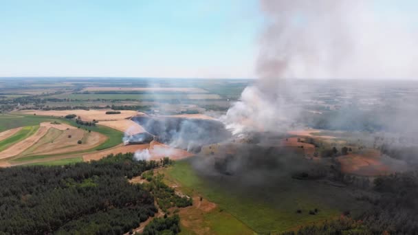 Flygfoto över brand i vetefält. Flyg över röken ovanför åkrarna — Stockvideo