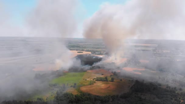 Vue aérienne du feu dans le champ de blé. Survol de la fumée au-dessus des champs agricoles