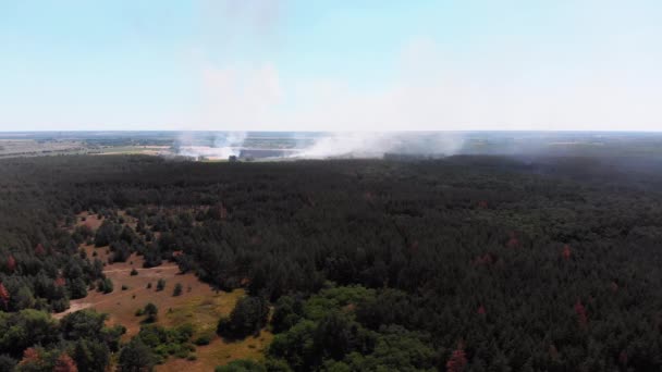 麦畑での火災の空中ビュー。農地の上で煙を飛び越える — ストック動画
